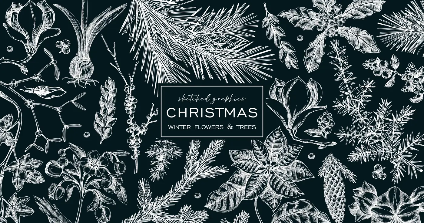Christmas banner design. Winter plants vintage background. Conifer trees, winter flowers, berry sketches. Hand drawn vector illustration on chalkboard. NOT AI generated Illustration